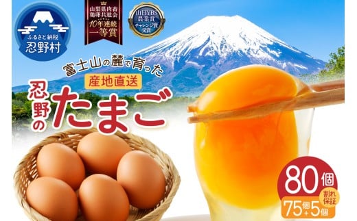 【2月配送分】富士山の麓で育った産地直送 ”忍野の卵”※卵75個+割れ保証5個　計80個