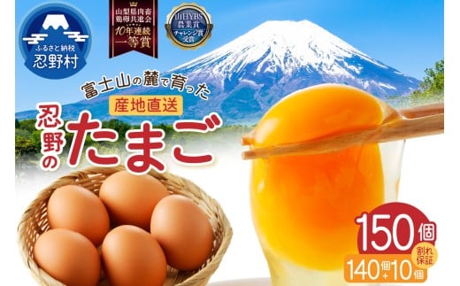【2月配送分】富士山の麓で育った産地直送 ”忍野の卵”※卵140個+割れ保証10個　計150個