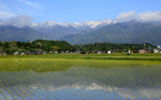 1　懐かしいふるさと、育てたいふるさとをすべての分野で応援