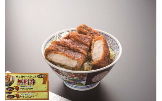駒ヶ根ソースかつ丼券(2回分)