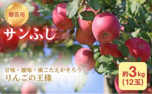 りんご 長野 贈答用 リンゴ サンふじ 約3kg （12玉） 産地直送 ギフト プレゼント 贈答 贈答品 贈り物 フルーツ 果物 デザート サンフジ 秋 旬 信州 長野県 長野県産 [№5659-1552]