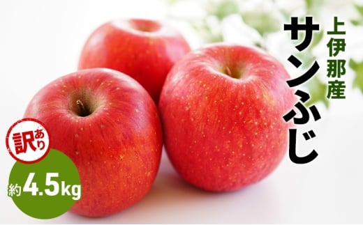 訳あり りんご サンふじ 4.5kg 果物 フルーツ 信州 長野 駒ヶ根市[№5659-1626]