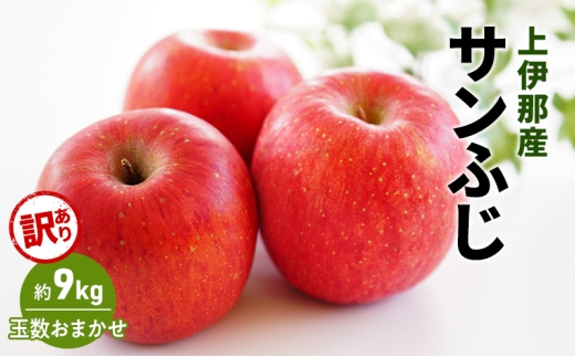 訳あり りんご サンふじ 9kg (玉数おまかせ) 果物 フルーツ 信州 長野 駒ヶ根市[№5659-1627]