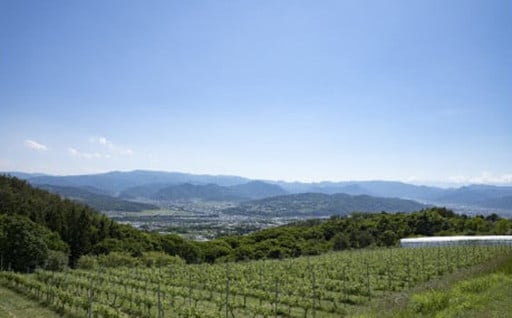 産業経済・都市整備