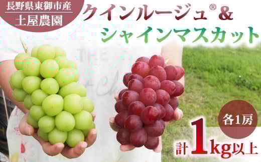 先行受付2026年発送【土屋農園】農家直送！クイーンルージュ(R)とシャインマスカットのセット1kg以上（各1房）※2026年9月下旬～10月中旬順次発送