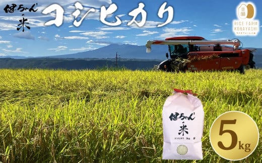 [R7年産新米]米・食味鑑定分析コンクール特別優秀賞受賞!冷めても美味しい健ちゃんちの米(コシヒカリ) 5kg|ライスファーム小林 ※2025年10月中旬以降発送予定