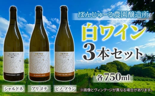 【ぼんじゅーる農園醸造所】人気の白ワイン3本セット（鞍掛シャルドネ、祢津アリゴテ、祢津ピノ・ブラン）| 国産 長野県 お酒