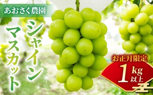 【お正月限定！50セット限り】シャインマスカット2～3房（1kg以上）※12月28日、29日、30日発送｜あおさく農園