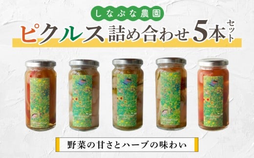 【しなぷな農園】しなぷなピクルス詰め合わせ(5本セット)|長野県 東御市 信州