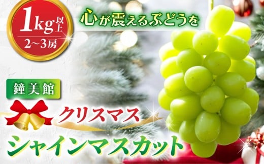 【鐘美館】標高750mで育ったクリスマスシャインマスカット1キロ以上（2～3房） ※2025年12月22日発送