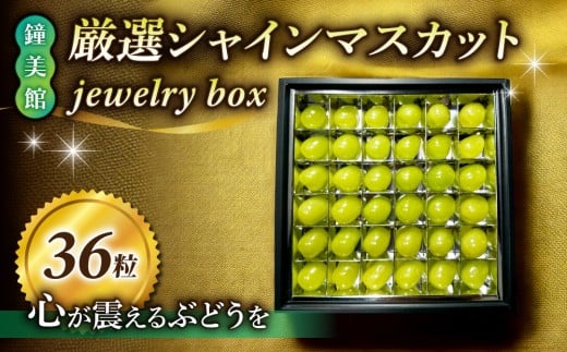 【鐘美館】標高750mで育った厳選シャインマスカット jewelry box（36粒） ※2025年9月中旬以降順次発送