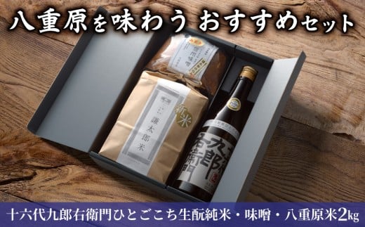 【ギフト限定】八重原を味わう、おすすめセット。【十六代九郎右衛門 ひとごこち 純米・味噌500g・八重原米2kg】|お中元 お歳暮 ギフト プレゼント