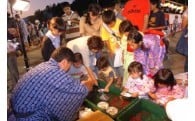 “みなみあいき”の少子化対策、若者定住に関する事業