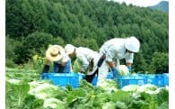 “みなみあいき”の地場産業発展に関する事業