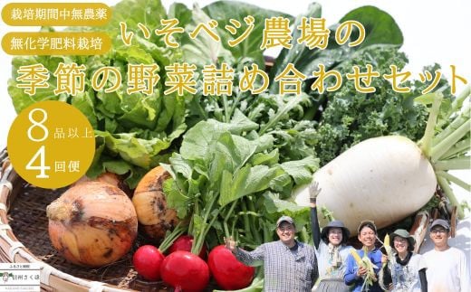 いそベジ農場の季節の野菜詰め合わせセット　定期便４回（IV-T502）