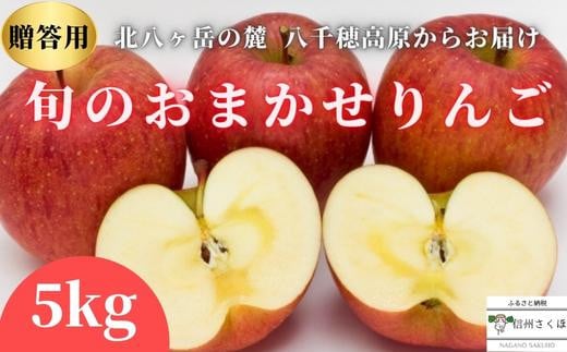 農園にお任せ旬のリンゴ ５kg入り贈答箱【限定品】［RS-104］