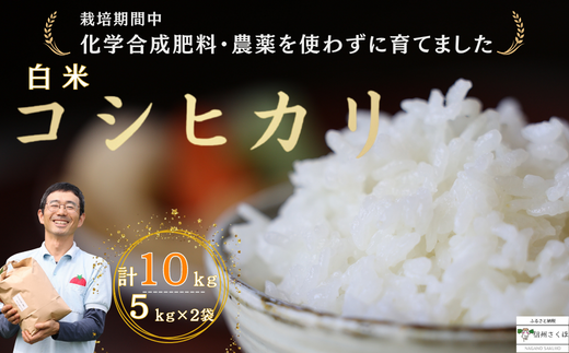 【令和6年産】佐久穂とさや農園のコシヒカリ　白米10kg［ST-116］