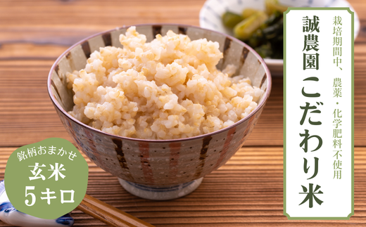 【先行予約】信州産こだわり米　銘柄はおまかせ　玄米　５kg［MA-112］