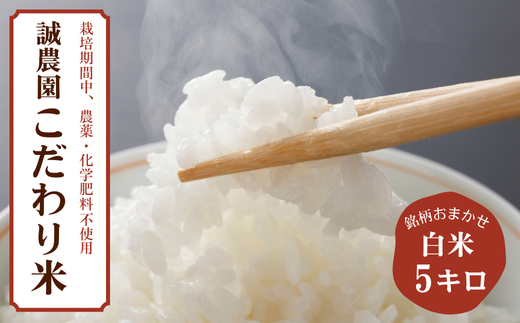 【先行予約】信州産こだわり米　銘柄はおまかせ　白米　５kg［MA-110］