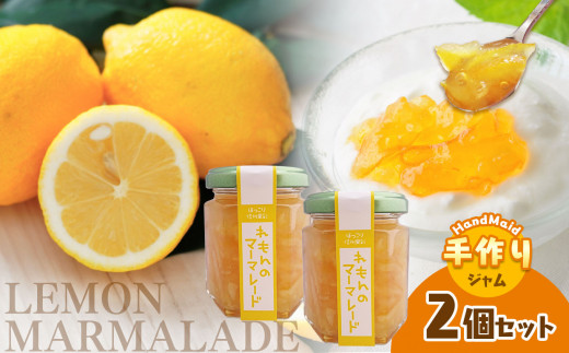 れもんのマーマレード ２個セット | 加工品 ジャム れもん 檸檬 レモン マーマレード まーまれーど ジャム 加工品 果実 長野県 南信州 天龍村