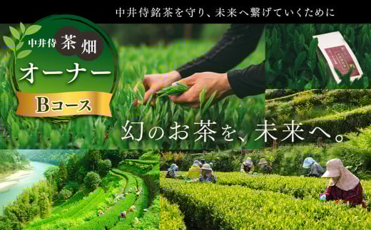 「未来の子供たちにこの美しい風景を残したい!」中井侍の茶畑オーナーBコース(5・11月)計2回お届け | お茶 茶葉 日本茶 緑茶 国産 手摘み 幻のお茶 浅蒸し茶 中井侍銘茶 秘境 長野県 南信州 天龍村