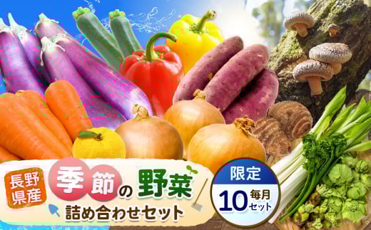 【定期便 5回】季節の野菜セット | 季節 旬 野菜 やさい 春野菜 夏野菜 秋野菜 冬野菜 長野県 南信州 天龍村