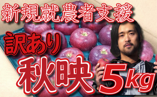 新規就農者応援 りんご （秋映） 訳あり 5㎏ 数量限定 先行予約 伊藤快 家庭用