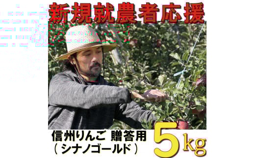 新規就農者応援 りんご （シナノゴールド） 贈答用 5㎏ 数量限定 先行予約 伊藤快