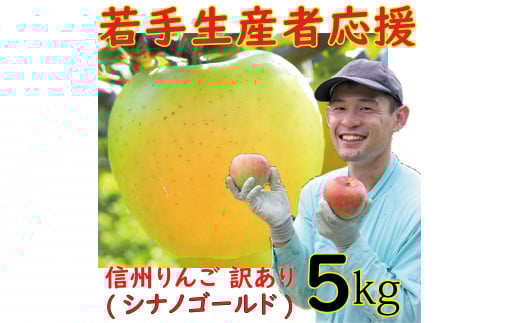 若手生産者応援 りんご (シナノゴールド) 訳あり 5㎏ 数量限定 先行予約 山崎健司 家庭用