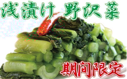 信州 麻績村 期間限定 数量限定 先行予約 浅漬け野沢菜 詰め合わせセット
