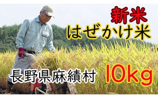 信州麻績産 はぜかけ米 新米 数量限定 期間限定 10kg 自然乾燥  先行予約 5kg +5kg