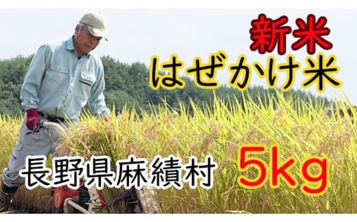 信州麻績産 はぜかけ米 新米 数量限定 期間限定 5kg 自然乾燥  先行予約 5kg