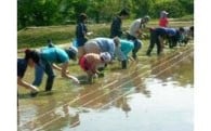 ・ふるさと「いくさか」と寄付者を含む都市との交流を発展させる事業