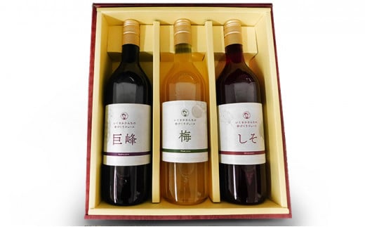 生坂村産手作りｼﾞｭｰｽｾｯﾄ