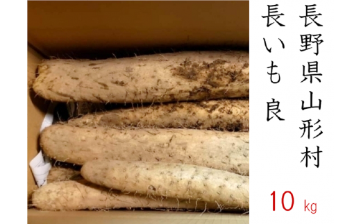 3205 信州山形村産 長いも 良 10kg