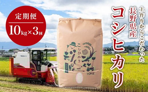 1411【3か月連続お届け】長野県産米コシヒカリ 10kg