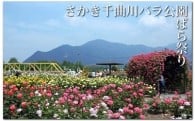 花と緑　ばら　いっぱいのふるさとさかきを応援します