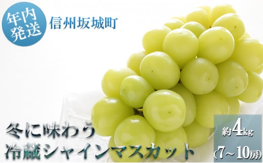 [№5729-0231]【11・12月発送】冬に味わう！冷蔵貯蔵シャインマスカット約4kg (7～10房)