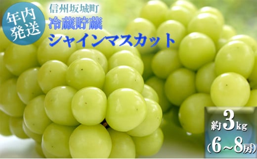 [№5729-0236]【11・12月発送】冬に味わう！冷蔵貯蔵シャインマスカット 約3kg (6～8房)
