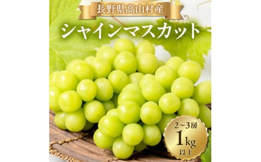 シャインマスカット2～3房(1kg以上)【1404280】