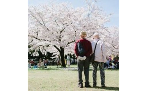 4.高齢者福祉に関すること