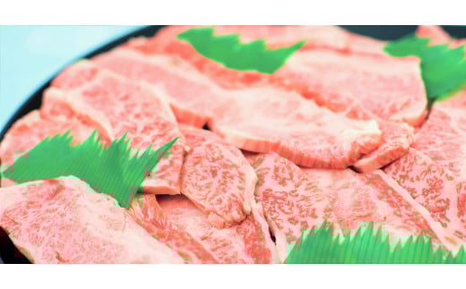 11 特撰飛騨牛A5等級 上カルビ(バラ) 焼肉用800g