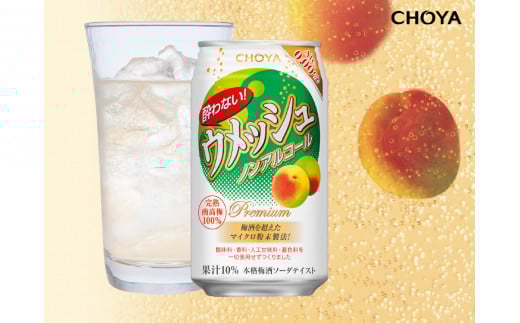 622 チョーヤ CHOYA 酔わないウメッシュ缶 350ML×24本