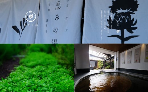 328 恵みの湯で大満足!お風呂にお食事マッサージまで!セット