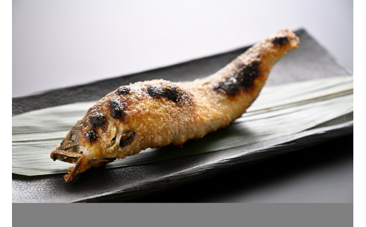 69 うなぎ屋たむろの岐阜の鮎　塩焼き１０尾セット