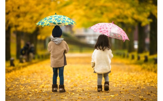 545 写真家 小林淳によるロケーション撮影(計1時間:15カット保障)