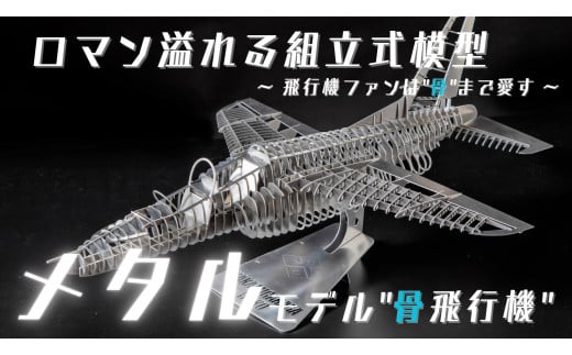 271 組立式模型「メタルモデル”骨飛行機”」