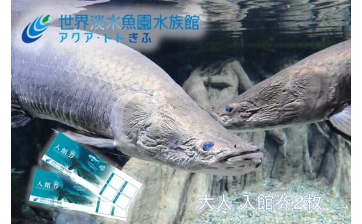 506 世界淡水魚園水族館 アクア・トトぎふ 入館券(大人2枚)
