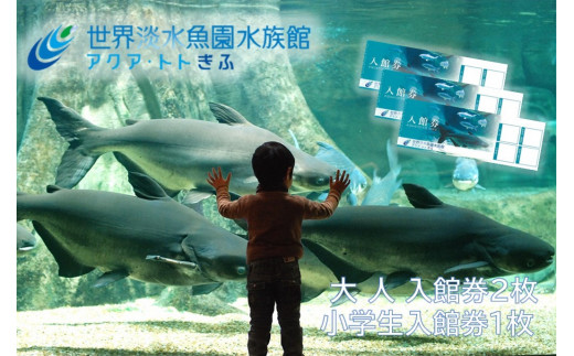 508 世界淡水魚園水族館 アクア・トトぎふ 入館券(大人2枚・小学生1枚)