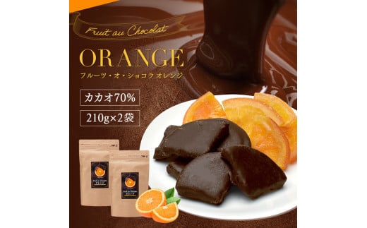 1000 フルーツ・オ・ショコラ オレンジ(210g×2袋)